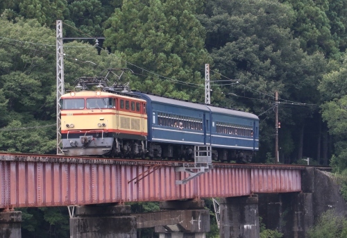 d0187275_20333118.jpg