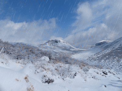 f0357487_21593524.gif