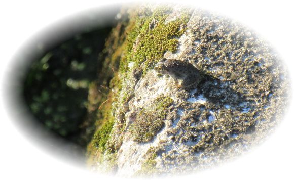 d0367190_20162907.jpg
