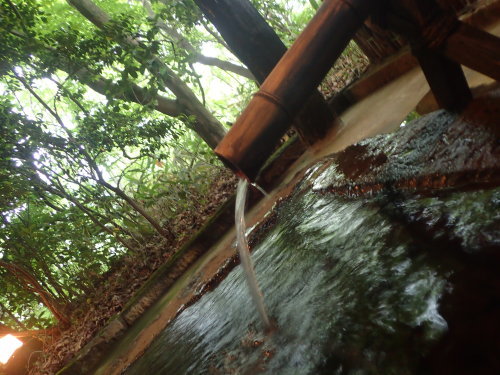 e0241691_17142301.jpg