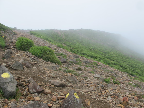 a0166196_20223416.jpg