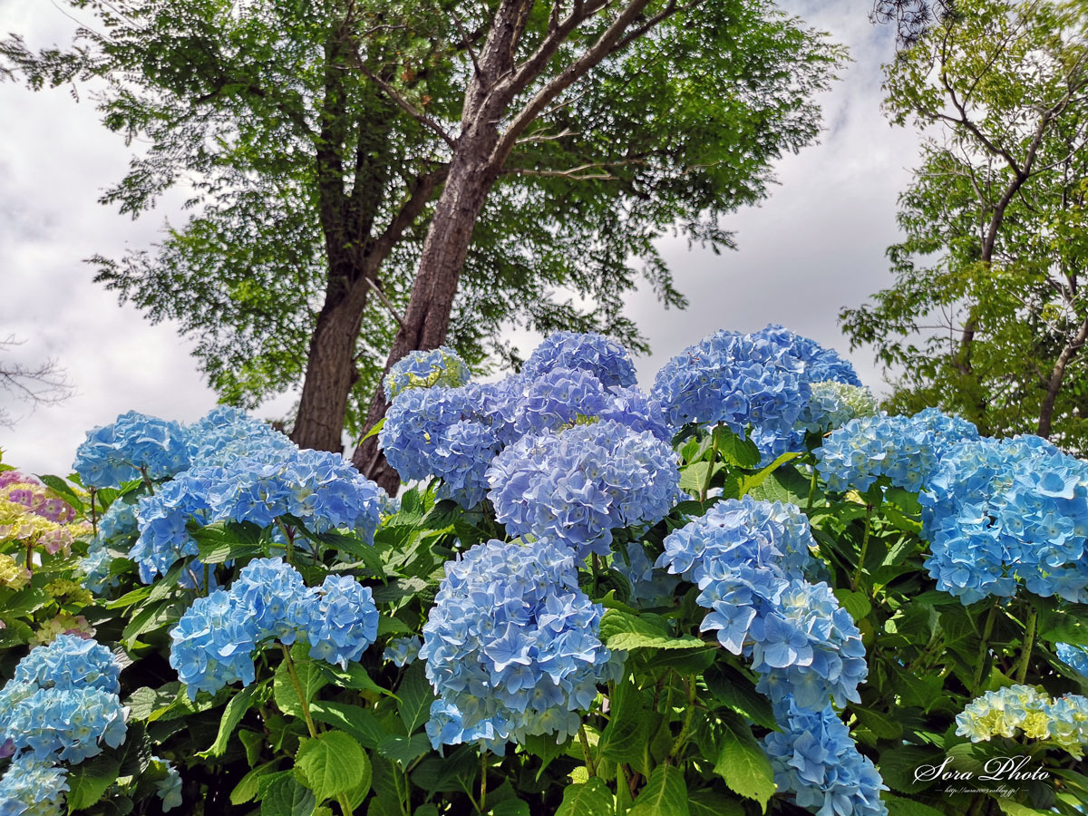 b0167798_00175612.jpg