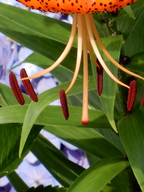 e0025300_18105267.jpg