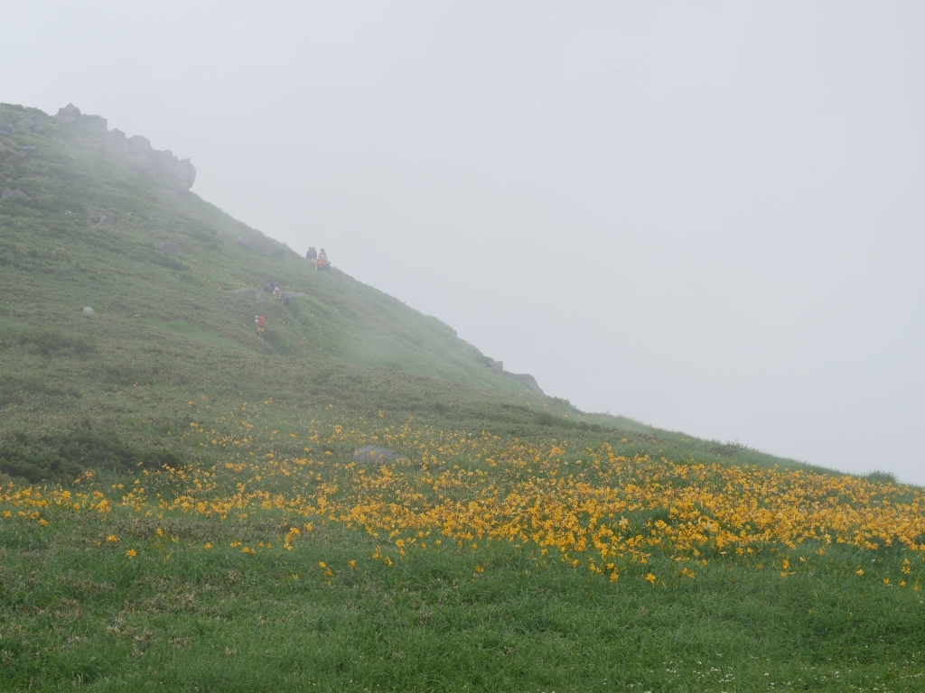 b0050305_20233737.jpg