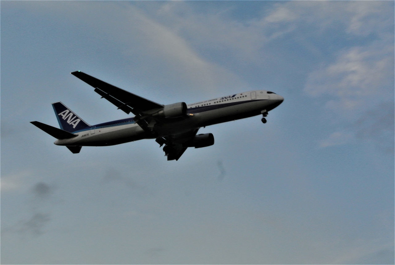 高校同期会は東京湾ナイトクルージング_a0148206_12184826.jpg