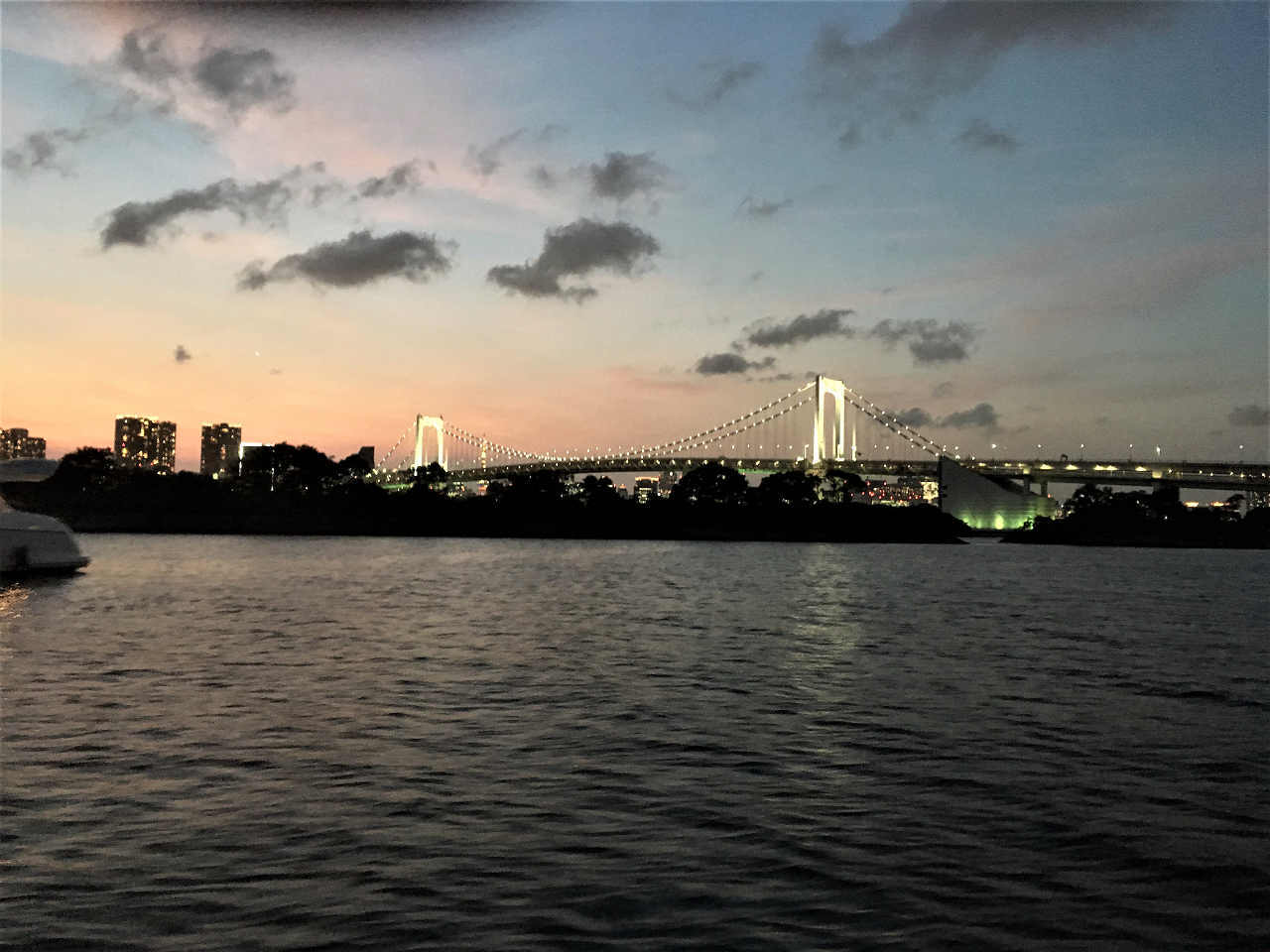高校同期会は東京湾ナイトクルージング_a0148206_12323975.jpg