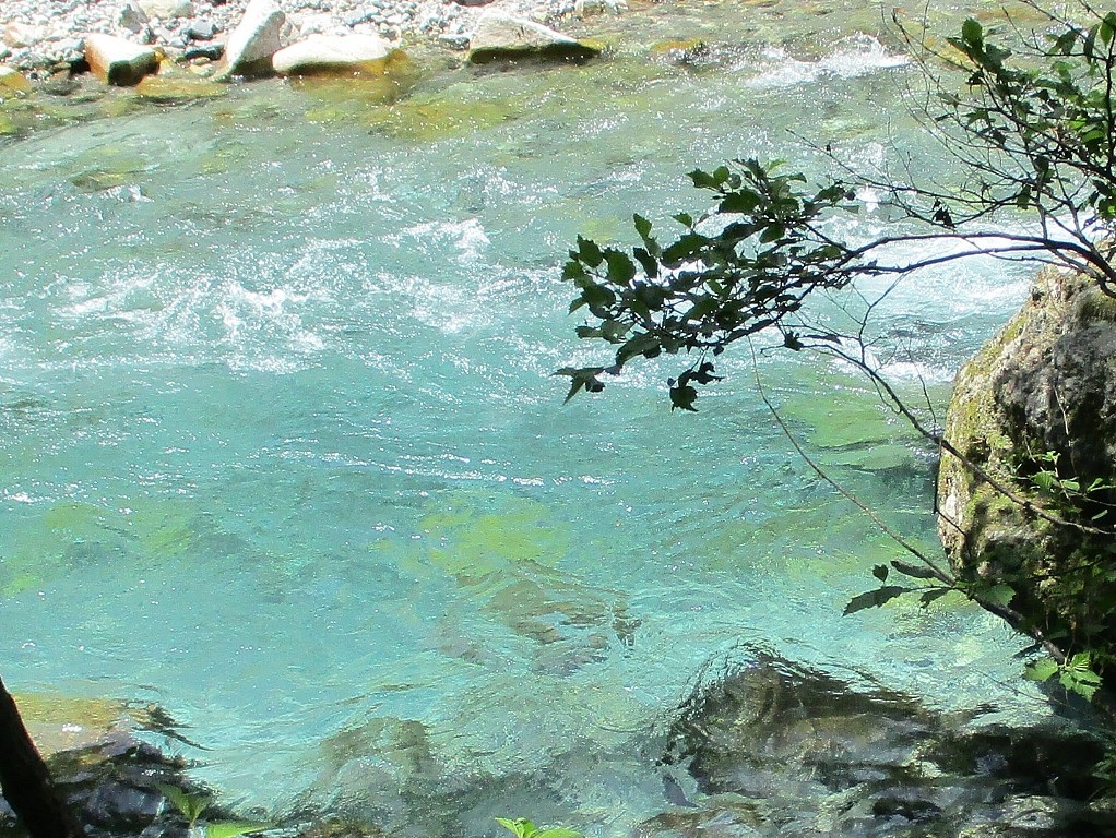 a0138609_22031286.jpg