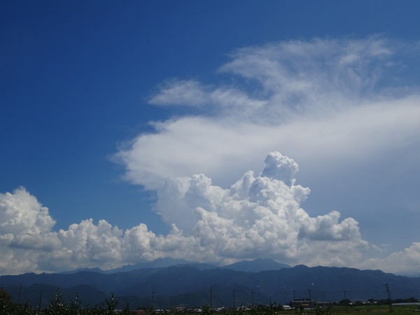 f0231709_14512631.jpg