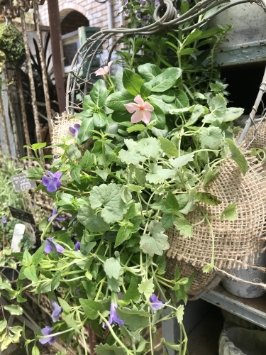 c0167112_17052037.jpeg