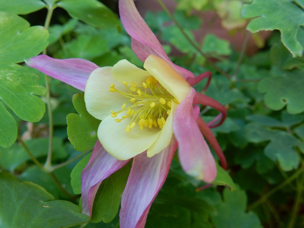 7月24日のtwitter_c0025115_22060705.jpg