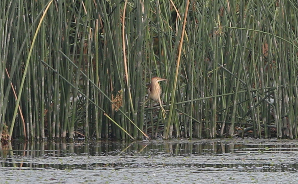 f0239515_17163283.jpg
