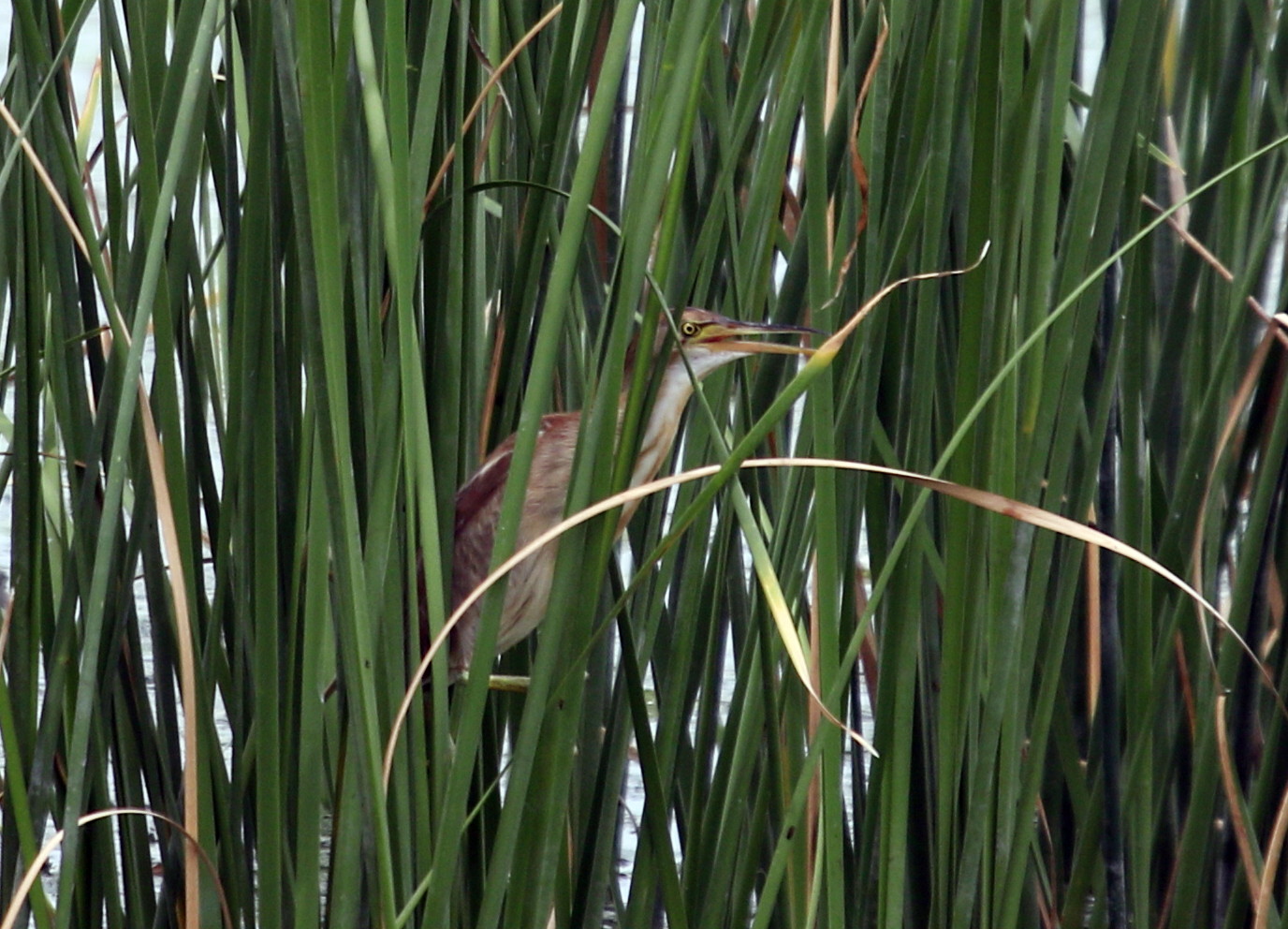 f0239515_17314100.jpg