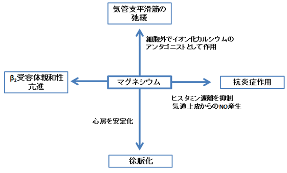 喘息とマグネシウムの関連性_e0156318_2312624.png