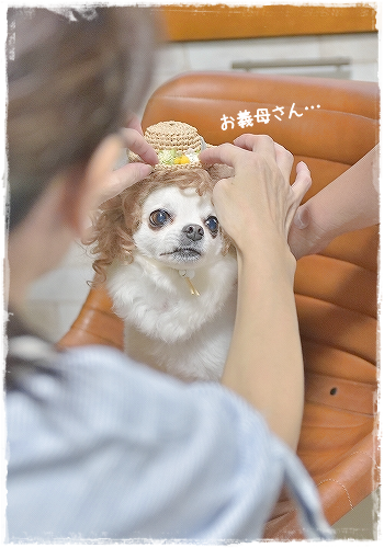 d0179828_06415949.png