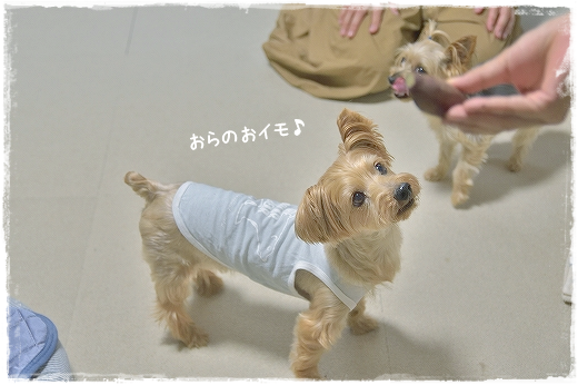 d0179828_13255562.png