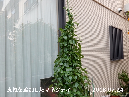 e0033229_19141069.jpg