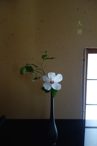 大暑_a0197730_15501109.jpg