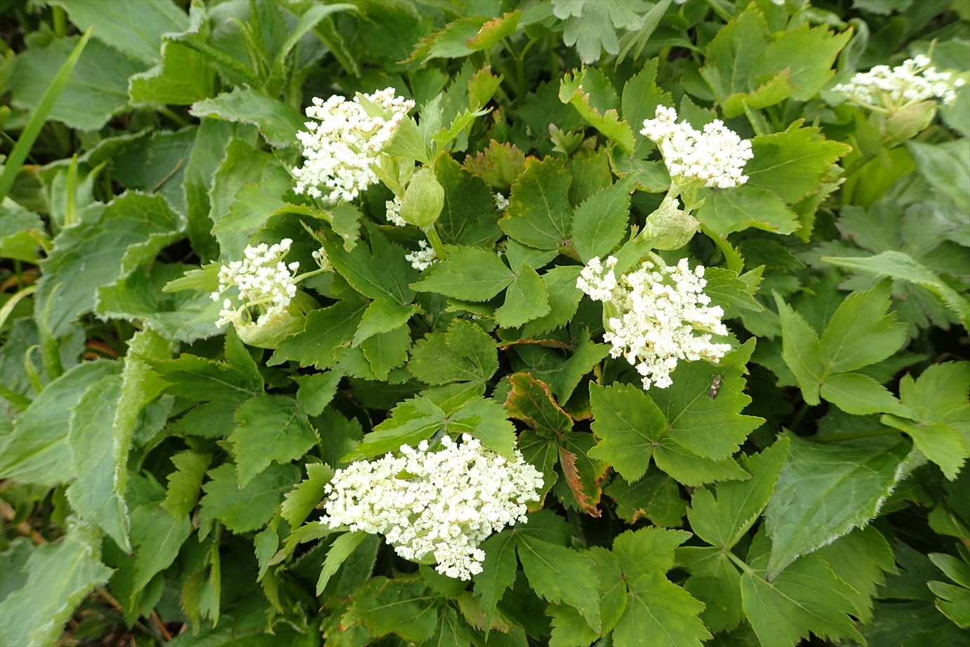 f0348933_21073189.jpg