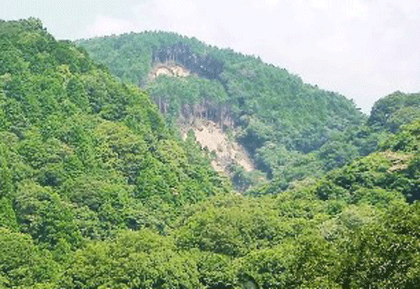 e0371039_10524944.gif