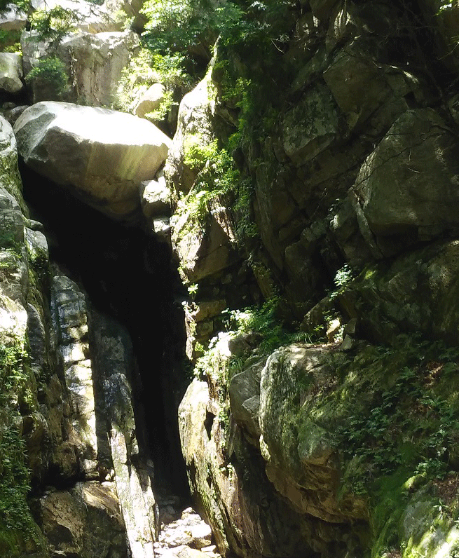 e0371039_12574275.gif