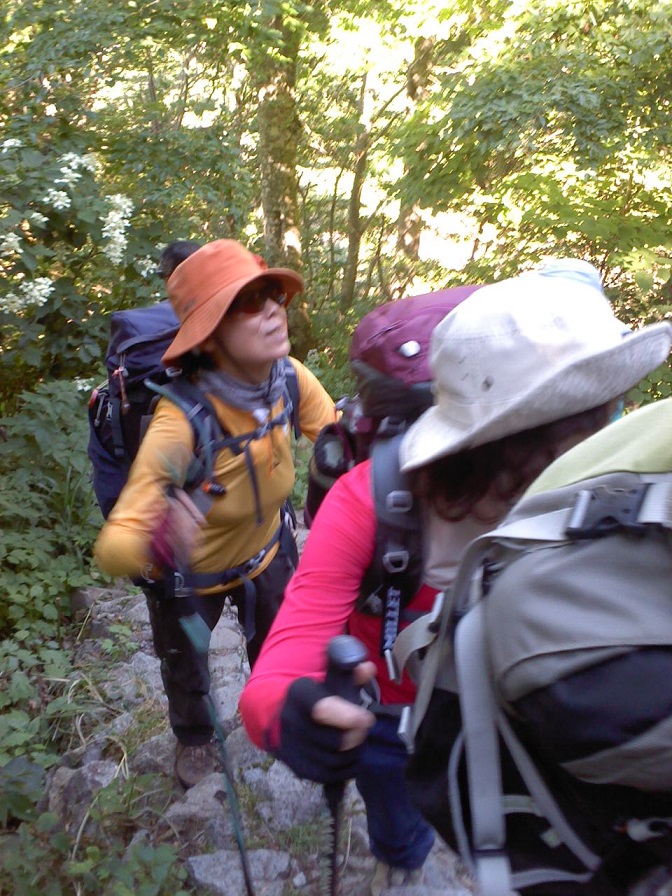 e0371039_153497.jpg