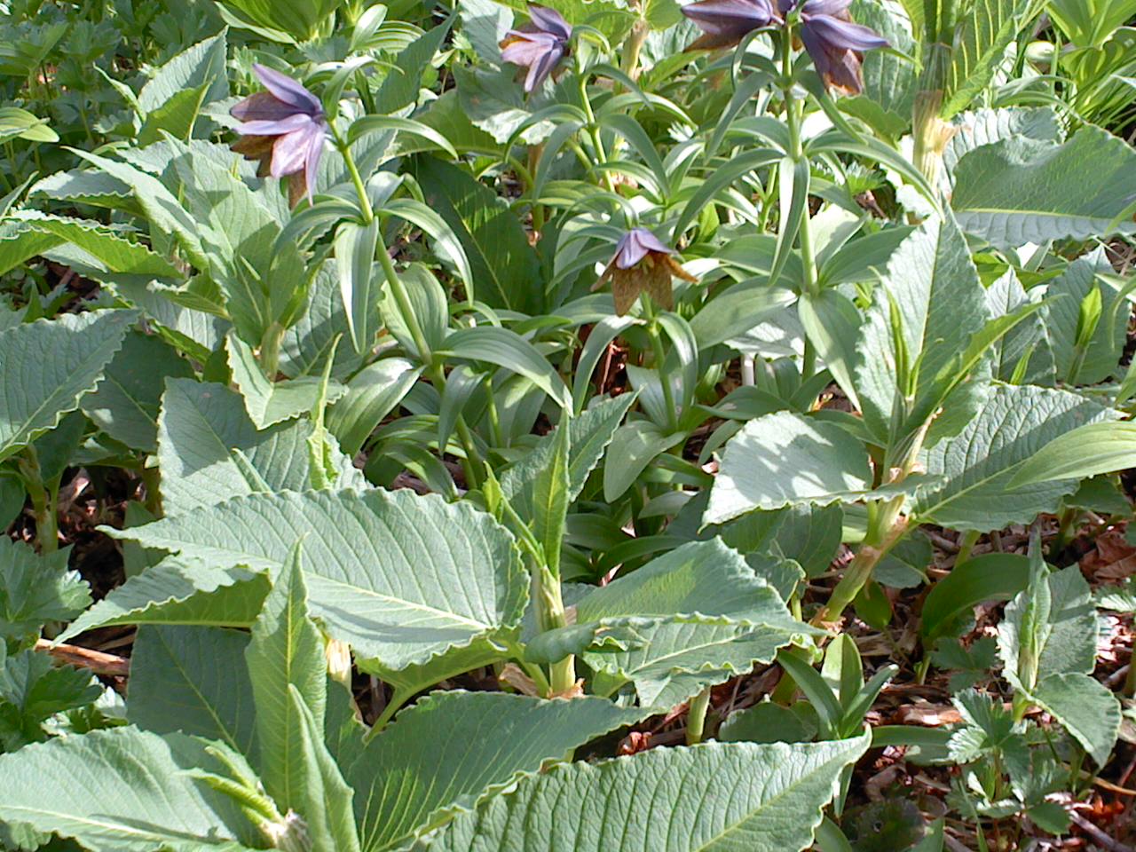 e0371039_182983.jpg