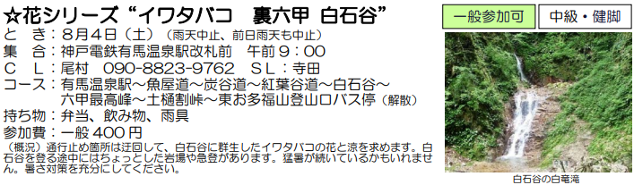 ☆花シリーズ“イワタバコ 裏六甲 白石谷” と き：８月４日（土）_e0371039_20584225.png