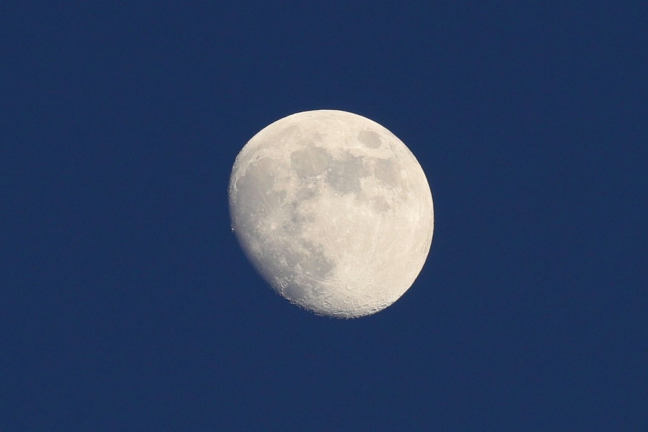 d0313140_20383960.jpg
