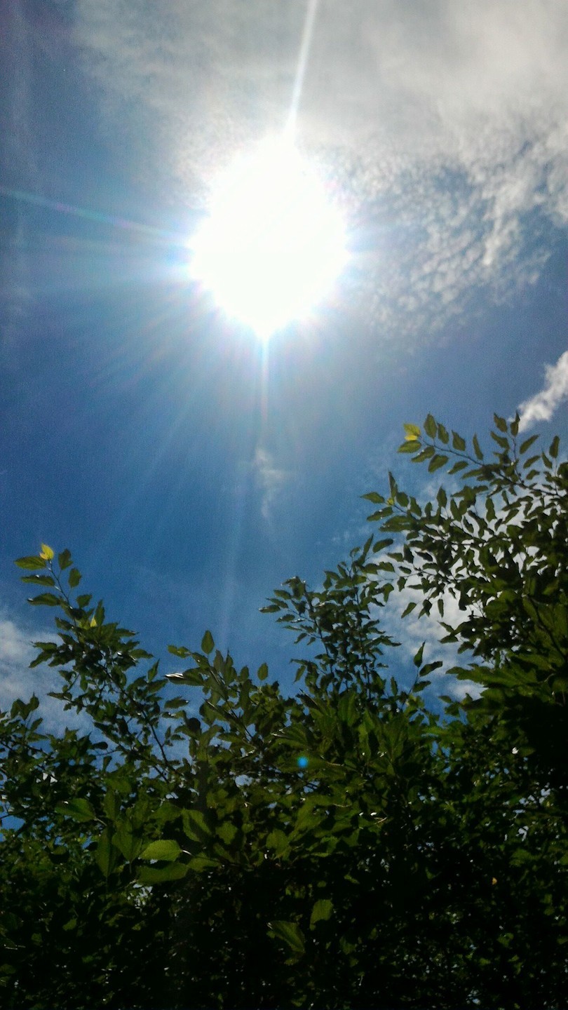 d0194741_20170185.jpg