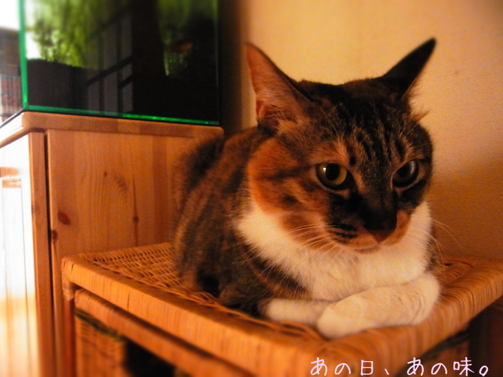 a0305046_09212101.jpg