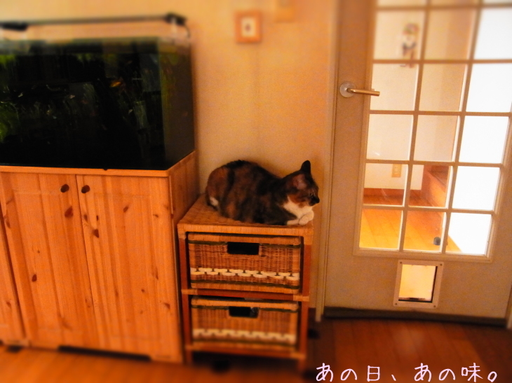 a0305046_09212415.jpg