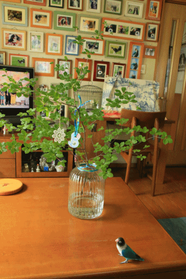 c0145250_10580976.gif