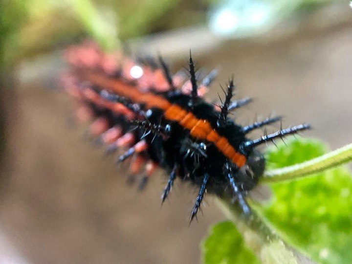 c0123363_10185117.jpg