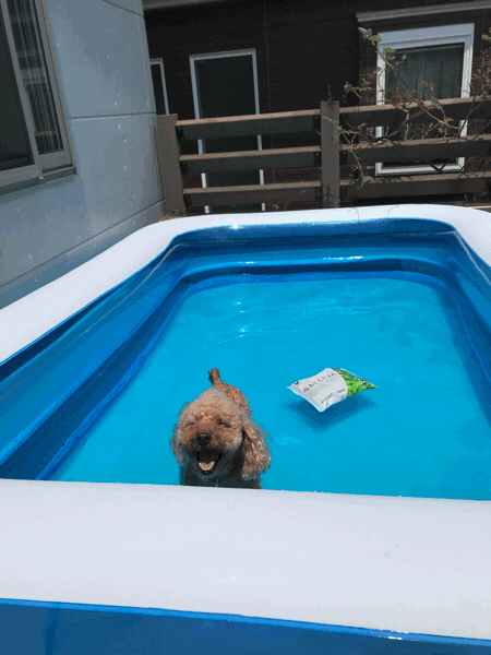 b0242465_07172505.gif