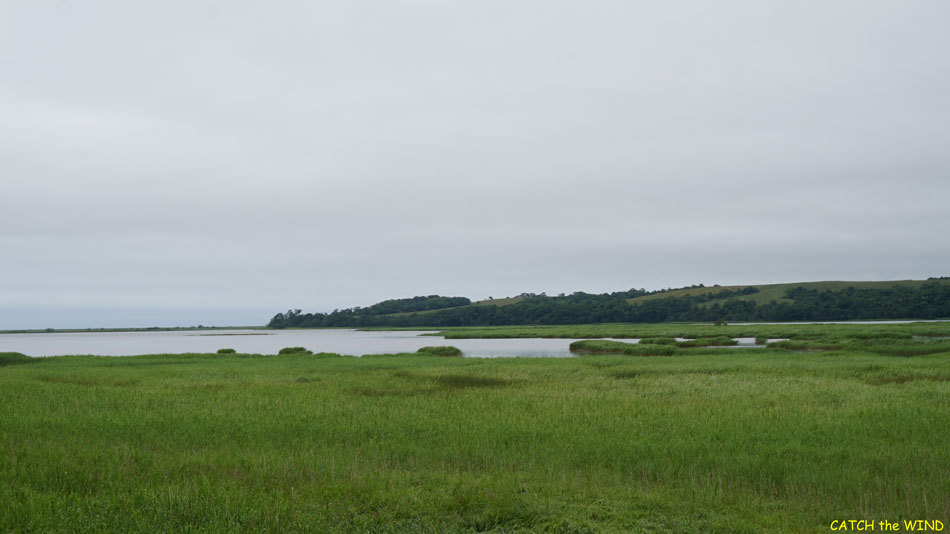 c0190971_19512868.jpg