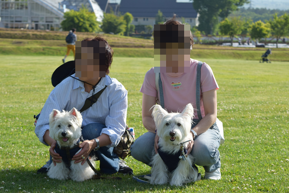 b0242873_18573334.png