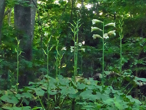 f0083977_22564060.jpg