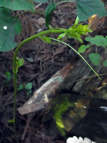 f0083977_22574181.jpg