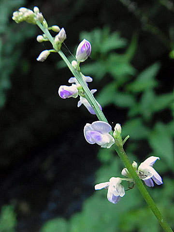 f0083977_22580888.jpg