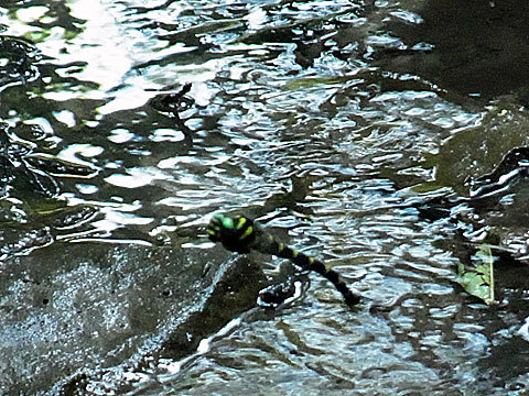 f0083977_22583799.jpg