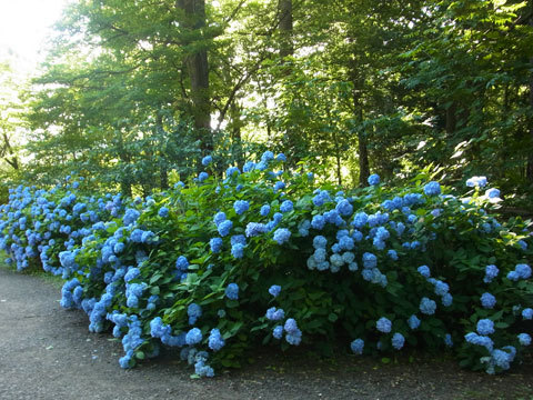 f0083977_23003212.jpg