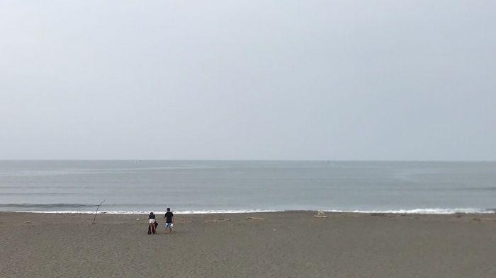 H:01:14/H:16:27/L:08:59/L:21:06 中潮_f0089978_08513911.jpeg