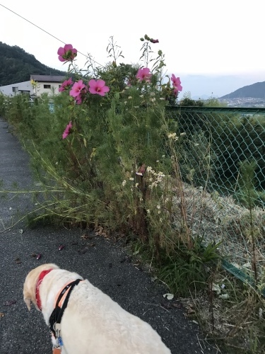 f0315081_22125697.jpeg