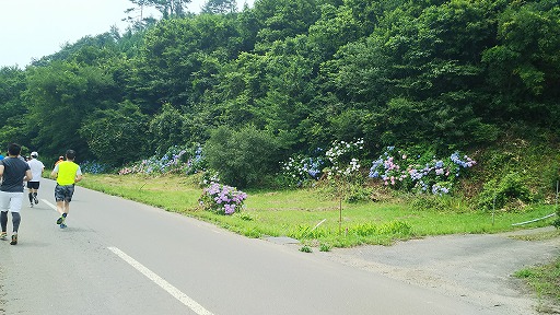 e0020682_21225112.jpg