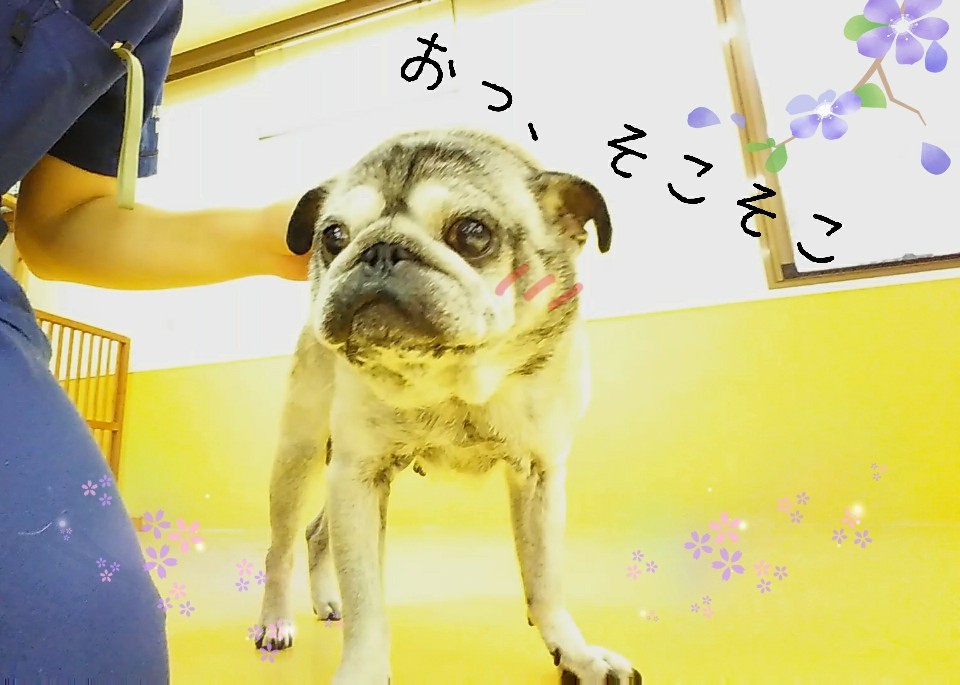 すずしぃねぇ~✨_f0357682_15125616.jpg
