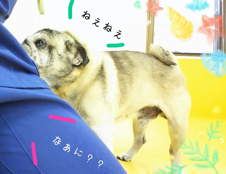 すずしぃねぇ~✨_f0357682_15125654.jpg
