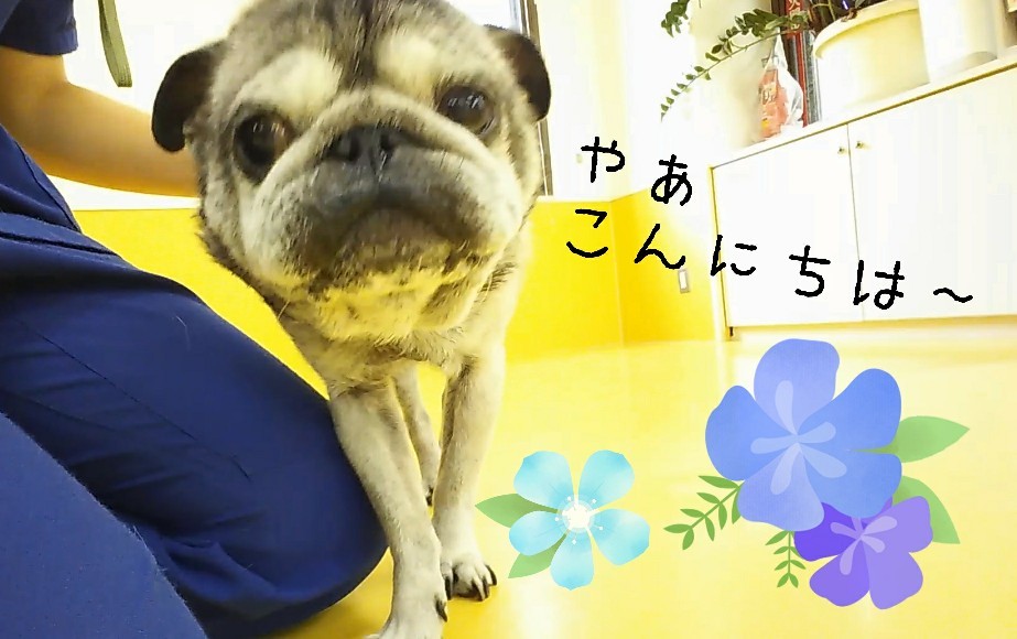 すずしぃねぇ~✨_f0357682_15125656.jpg