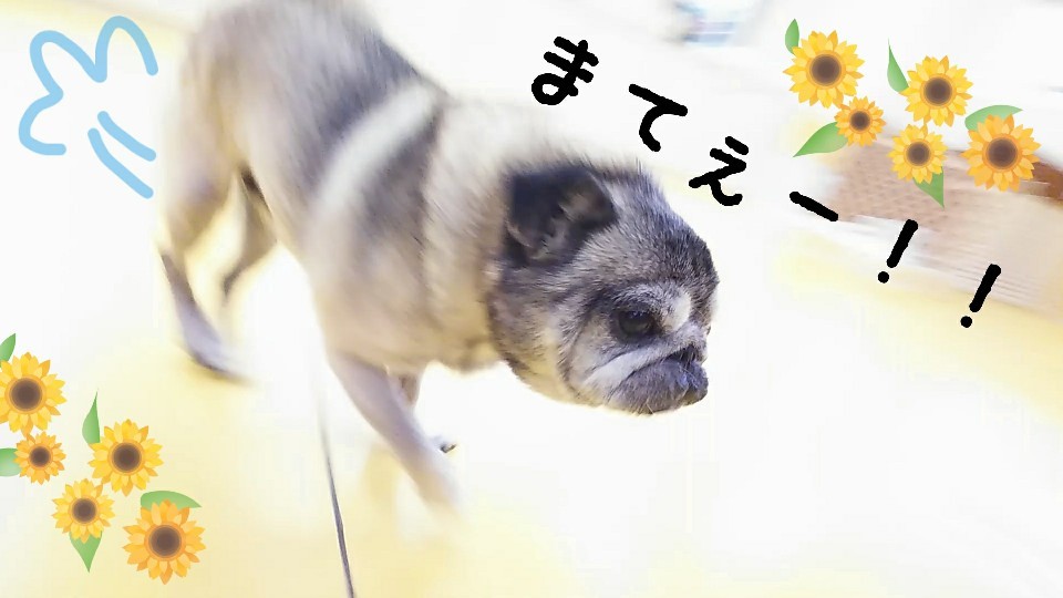 すずしぃねぇ~✨_f0357682_15132895.jpg