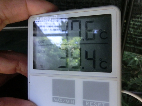 ついに日本最高温度　熊谷41.1℃、我が家は39.4℃記録！_e0159192_11314345.jpg