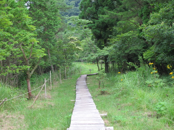 a0166196_924145.jpg